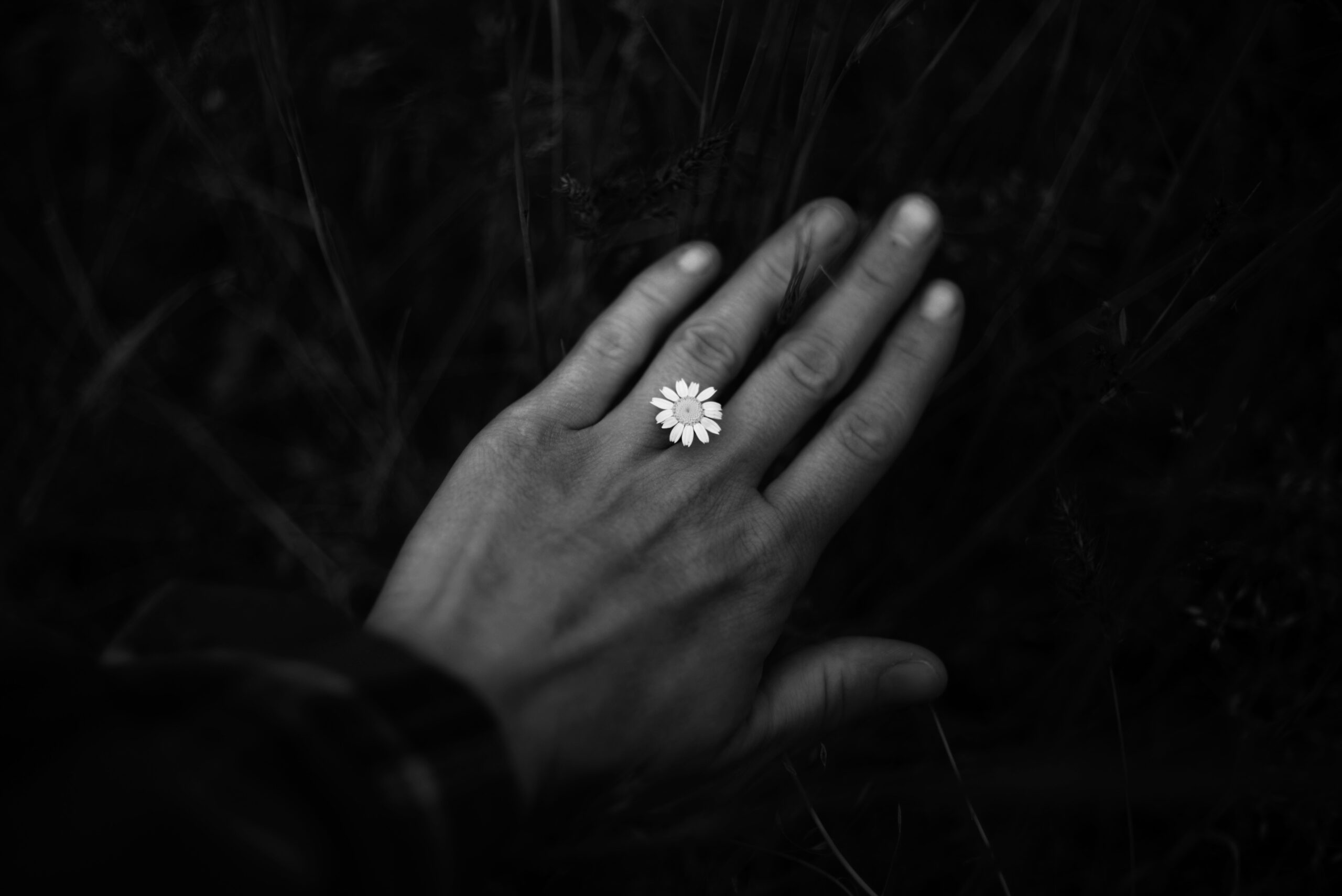 Flower Ring - Image 3